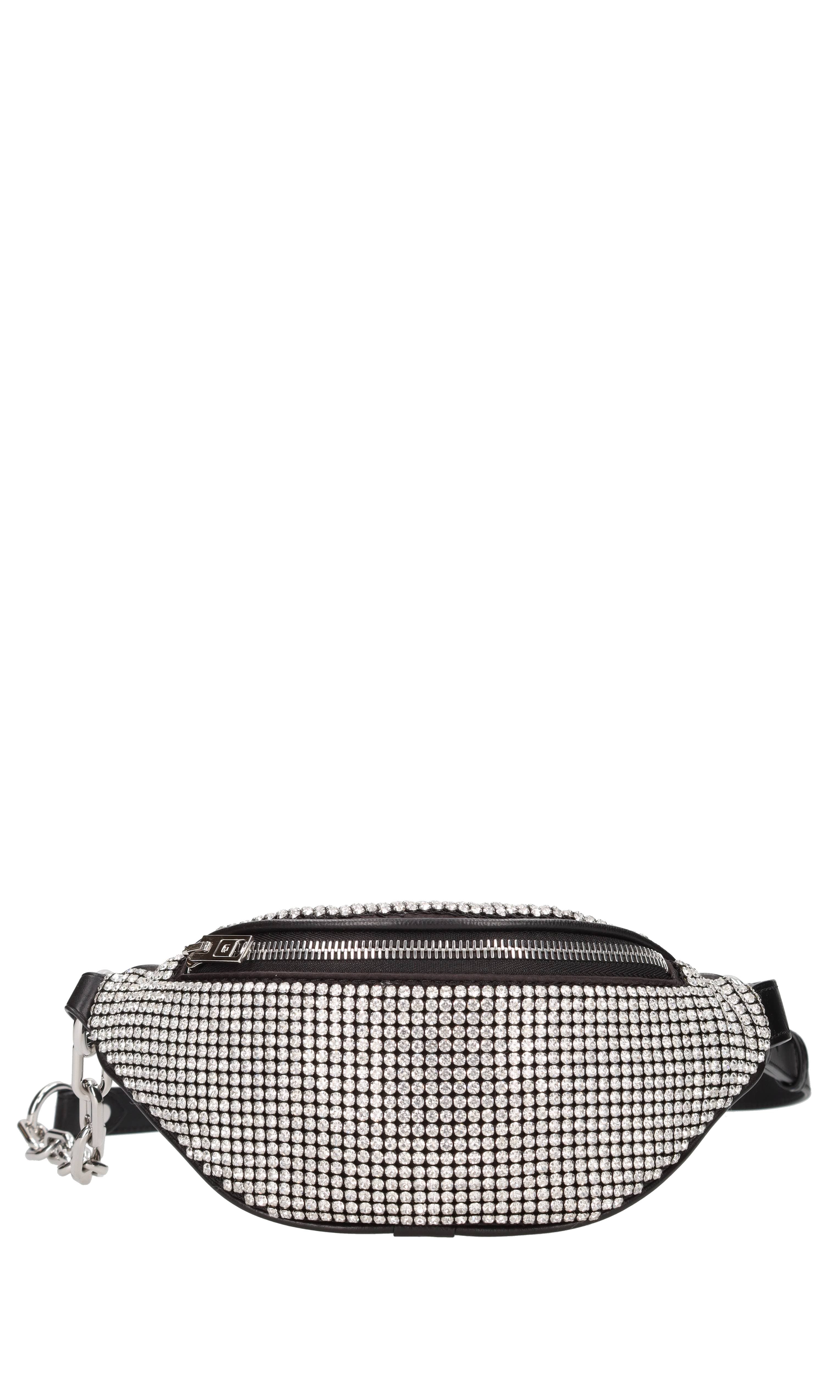 Alexander Wang Bags..
