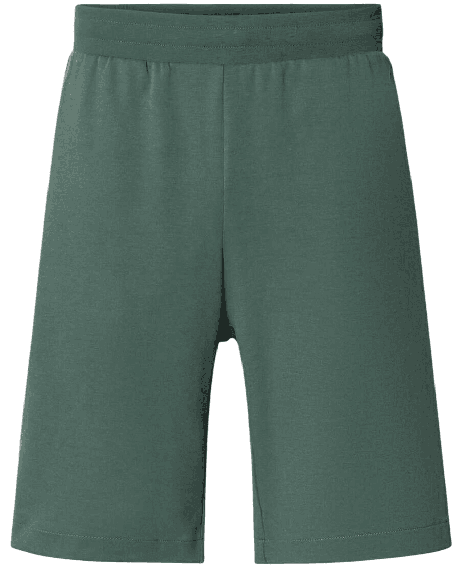 EA7 Shorts Green