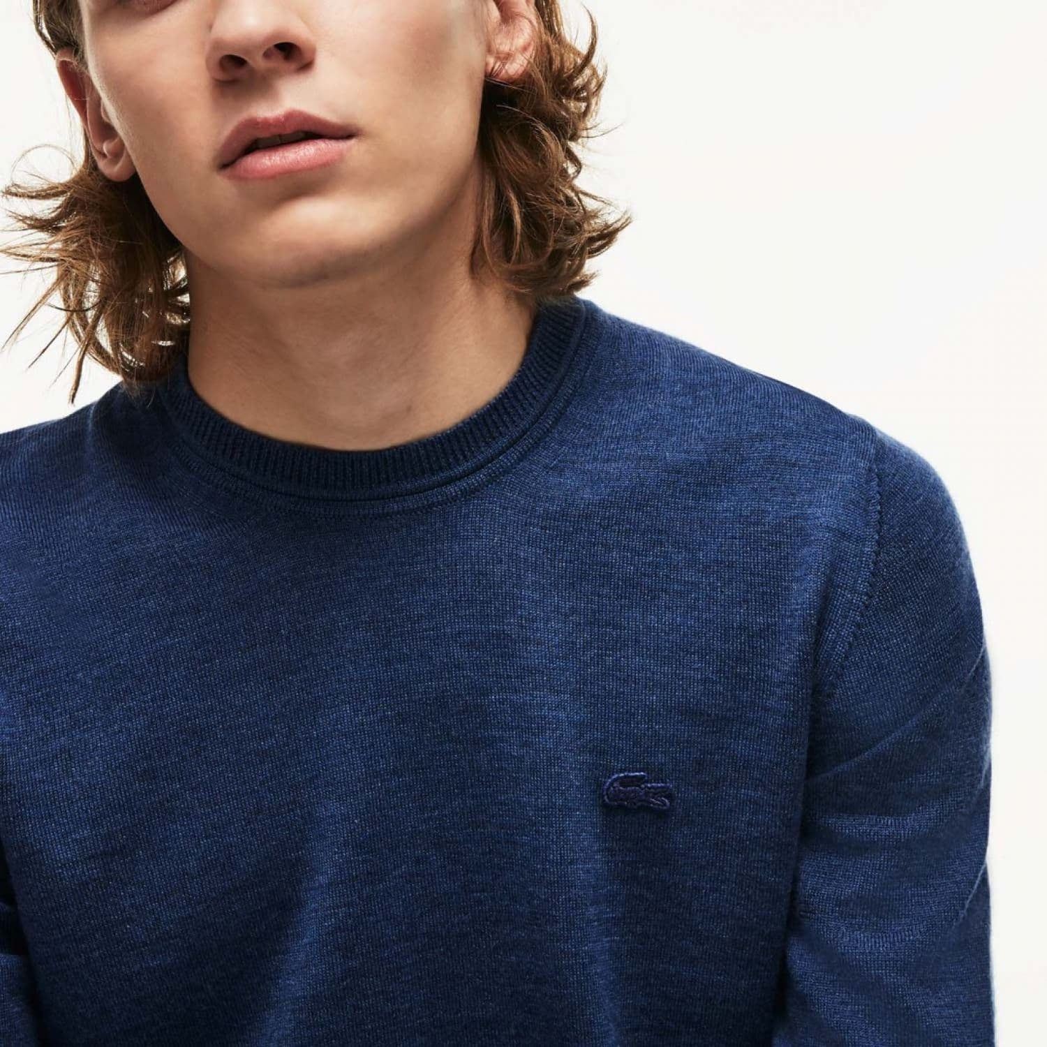 lacoste Sweaters Blu