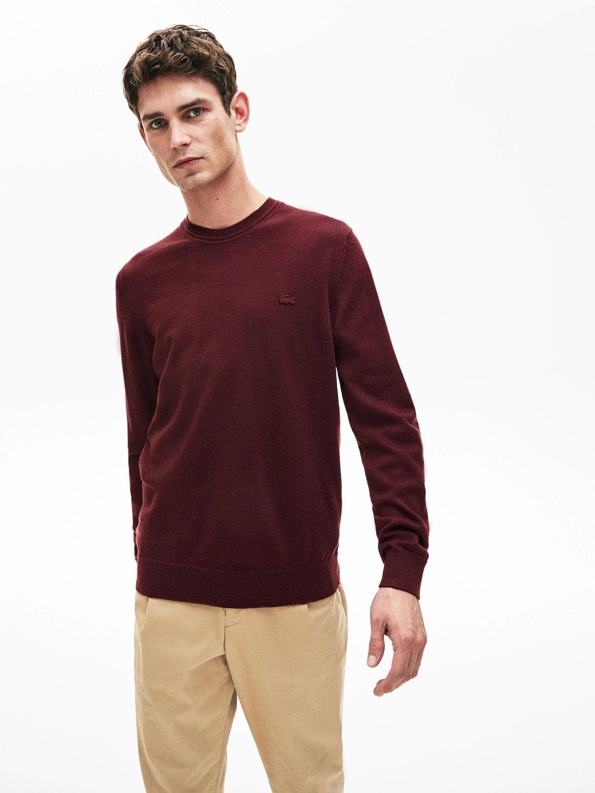 lacoste Sweaters Bordeaux