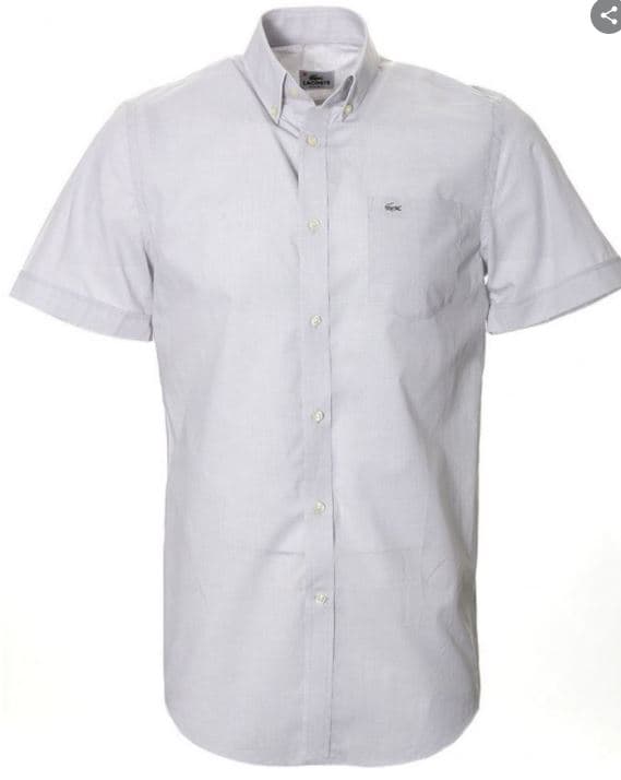 lacoste Shirts Grey