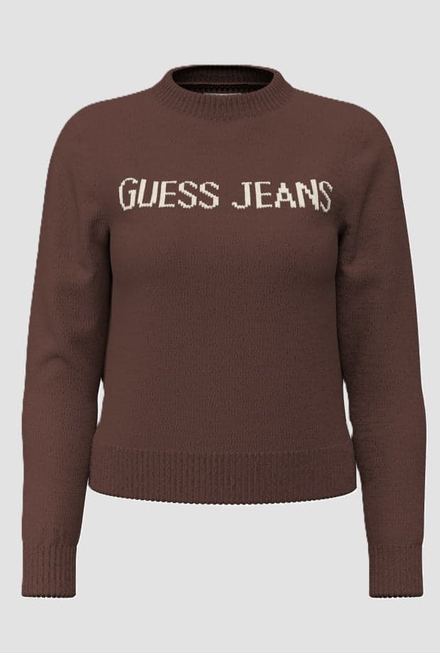 Women's sweater brown