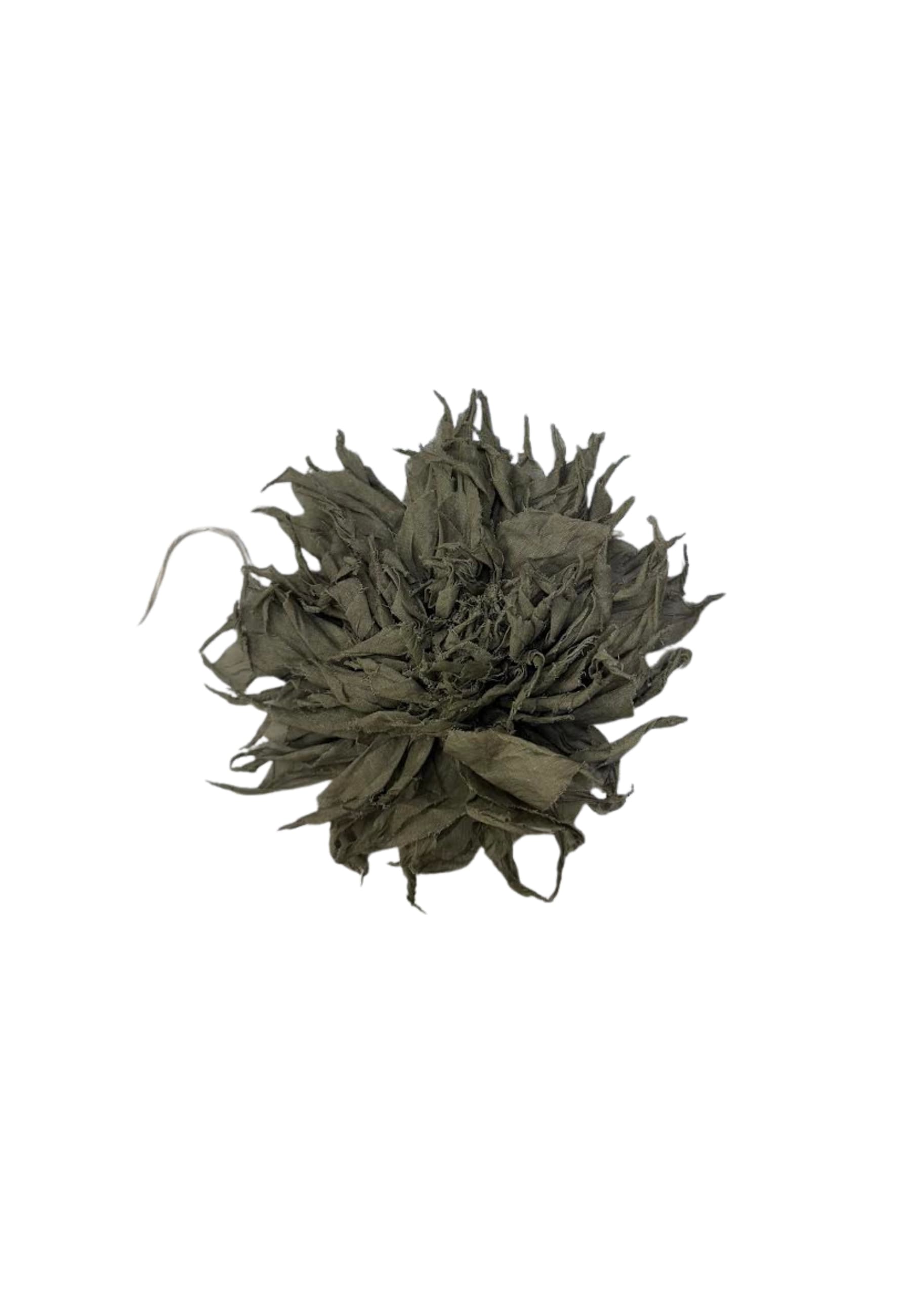 pins Phisique Du Role flower flower