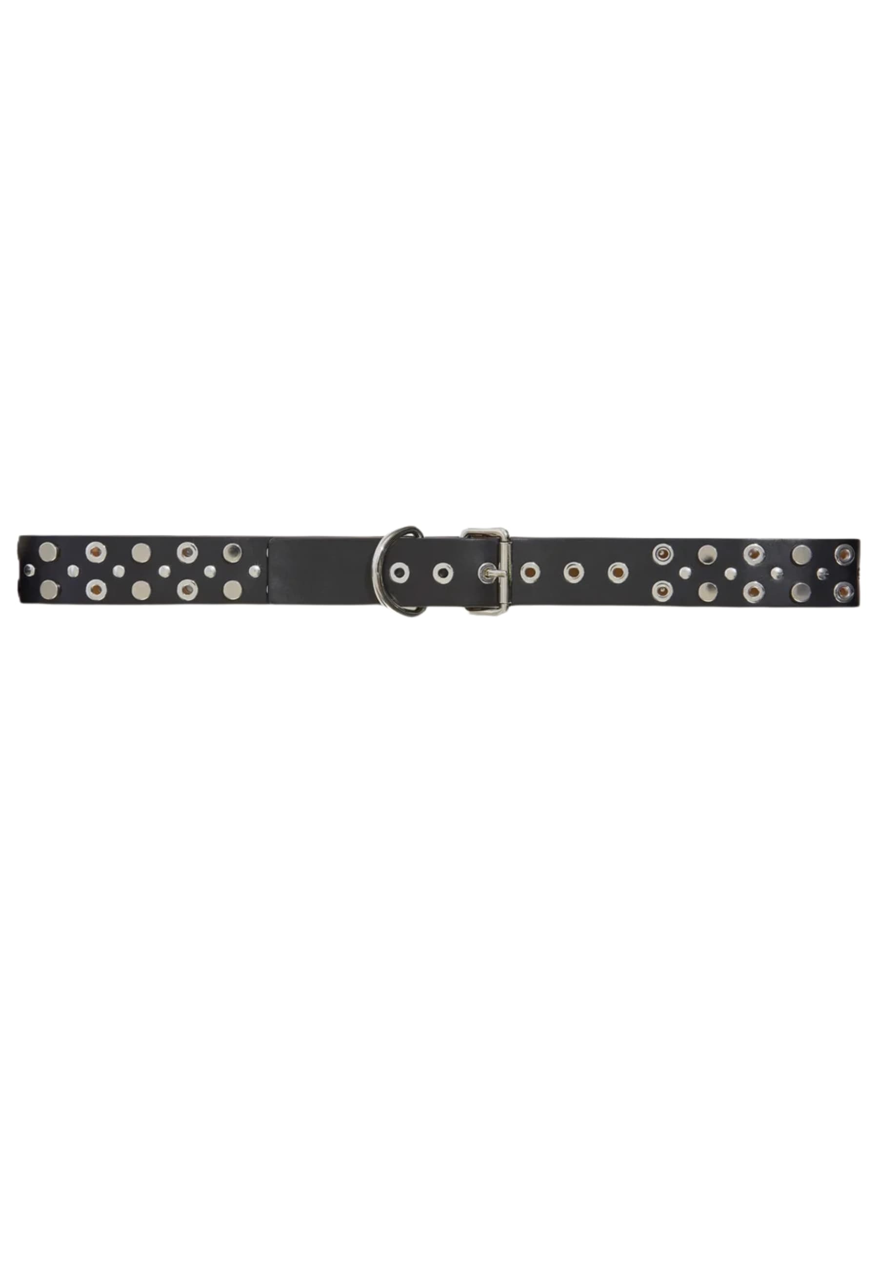 belt darcy Liviana Conti