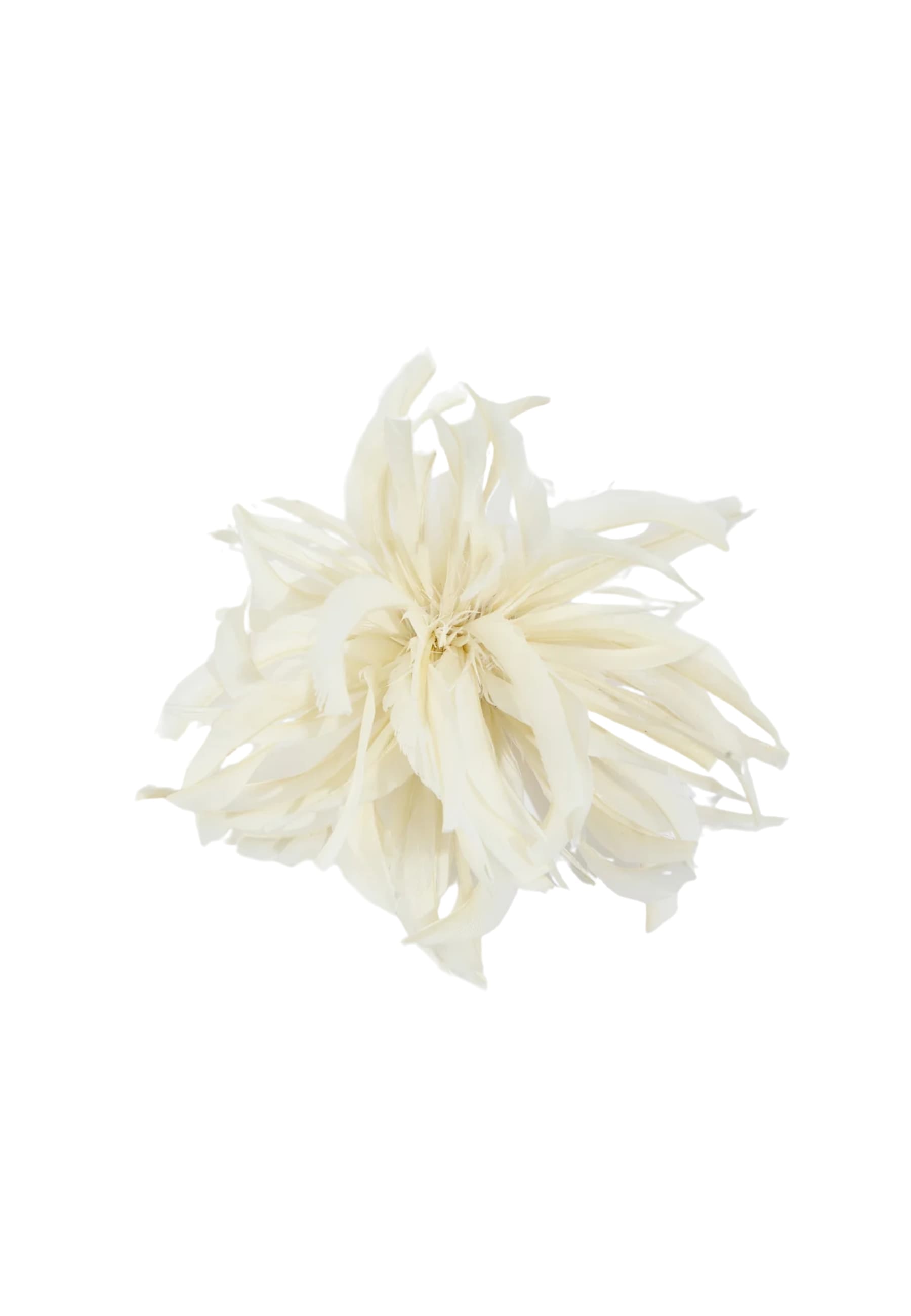 zelma brooch Liviana Conti
