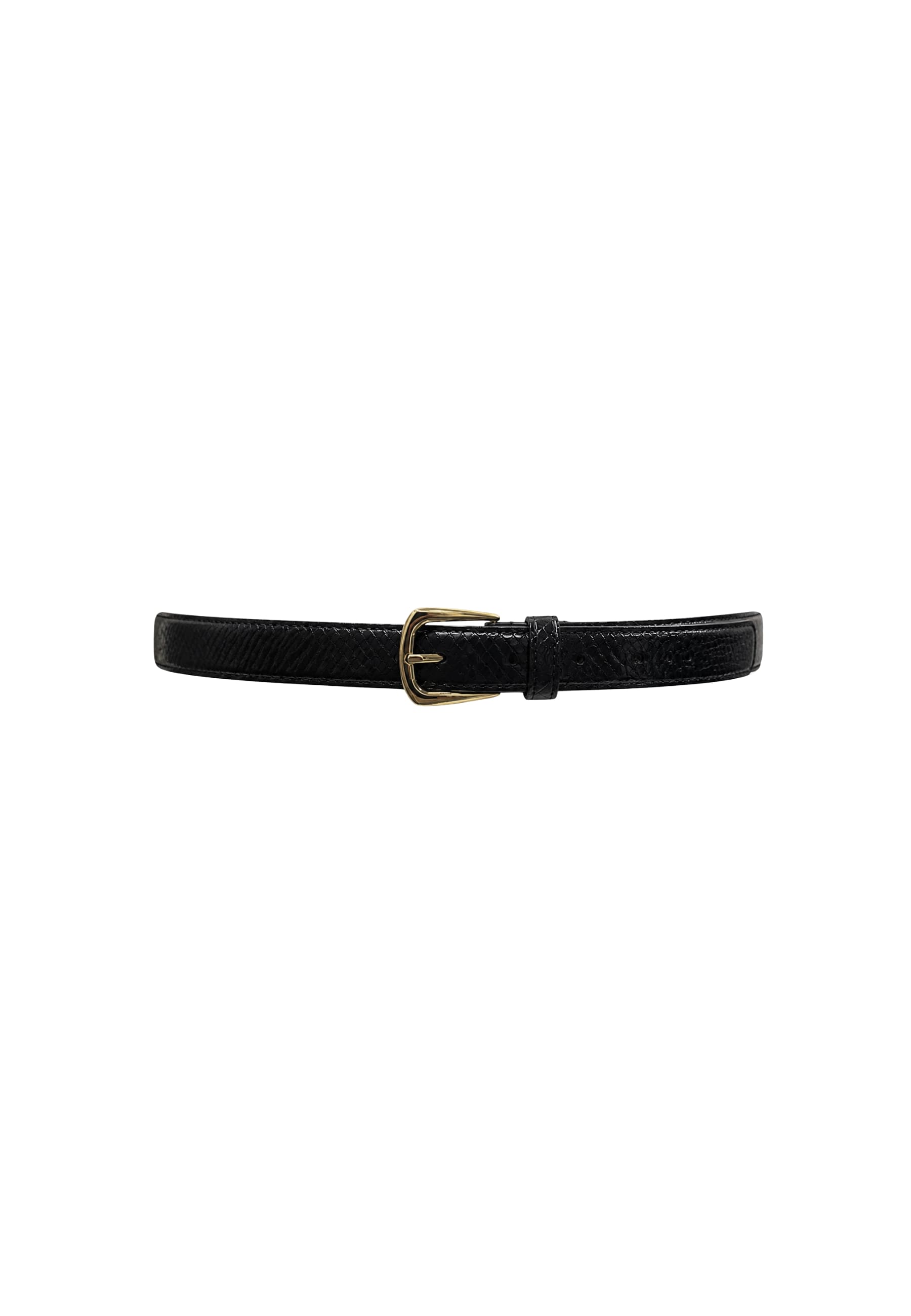 belt belt Elisabetta Franchi To the scales