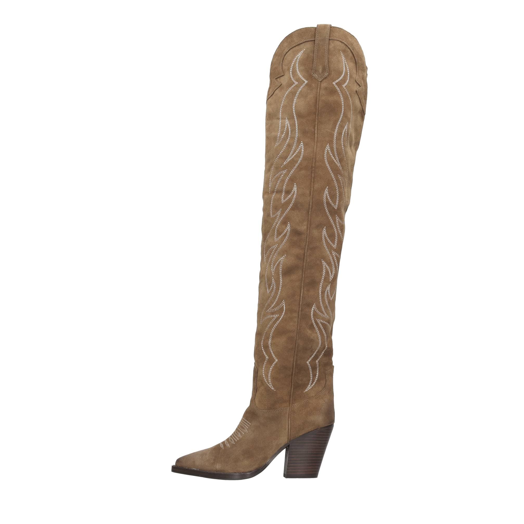 ASH Boots Brown