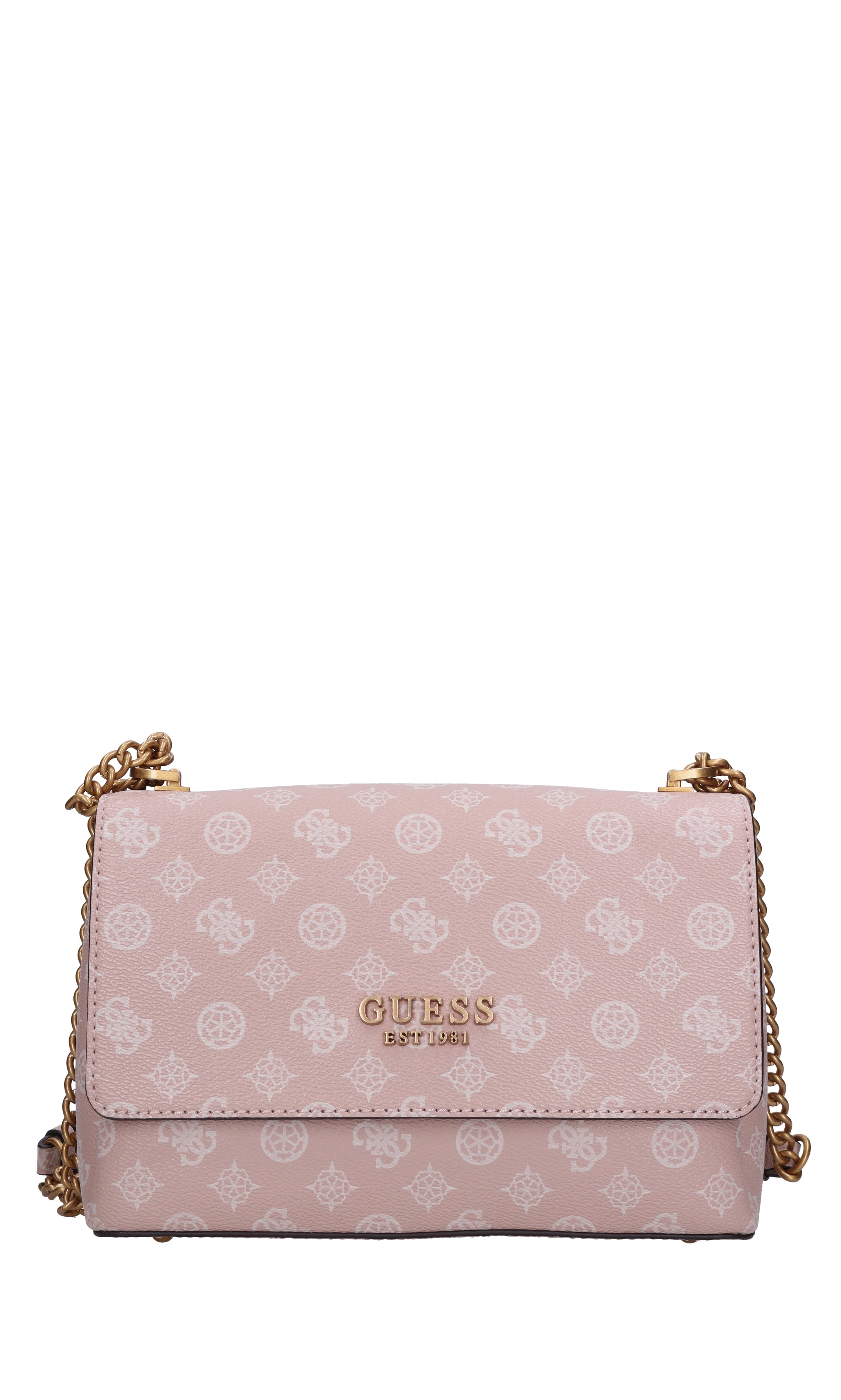 Guess Bags..