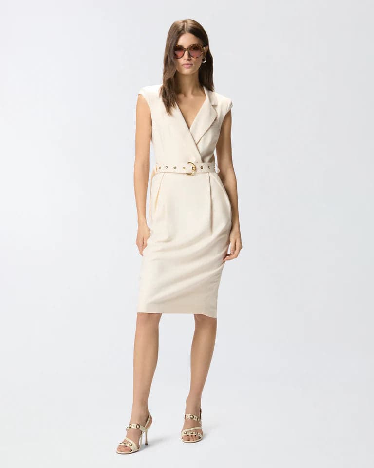 Pinko amadine frisottino dress ss26