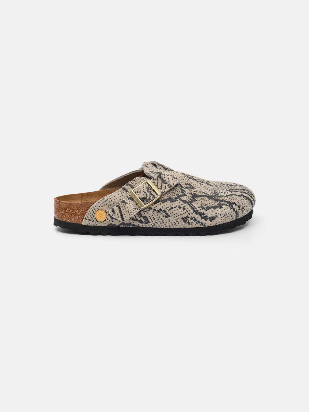 boston snake oyster