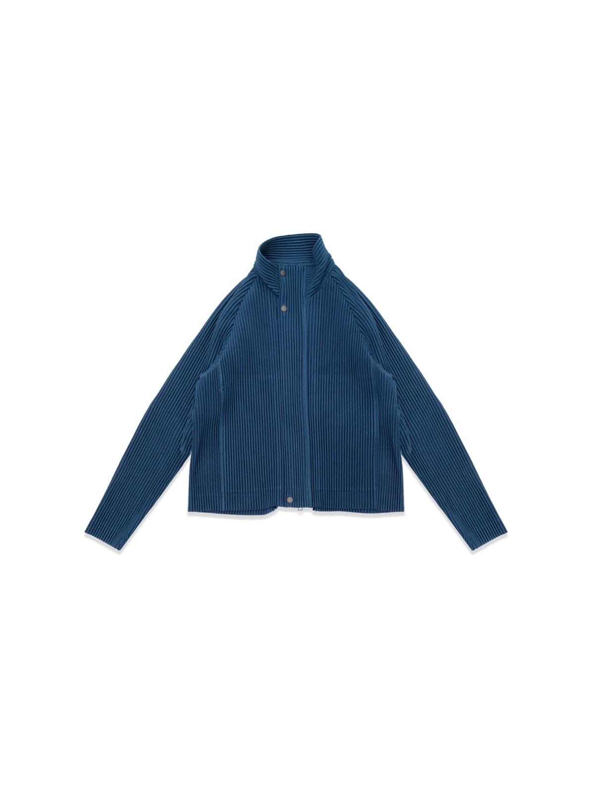 Customized pleats 1 blouson