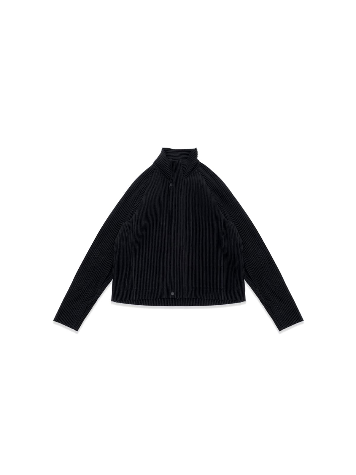 Customized pleats 1 blouson