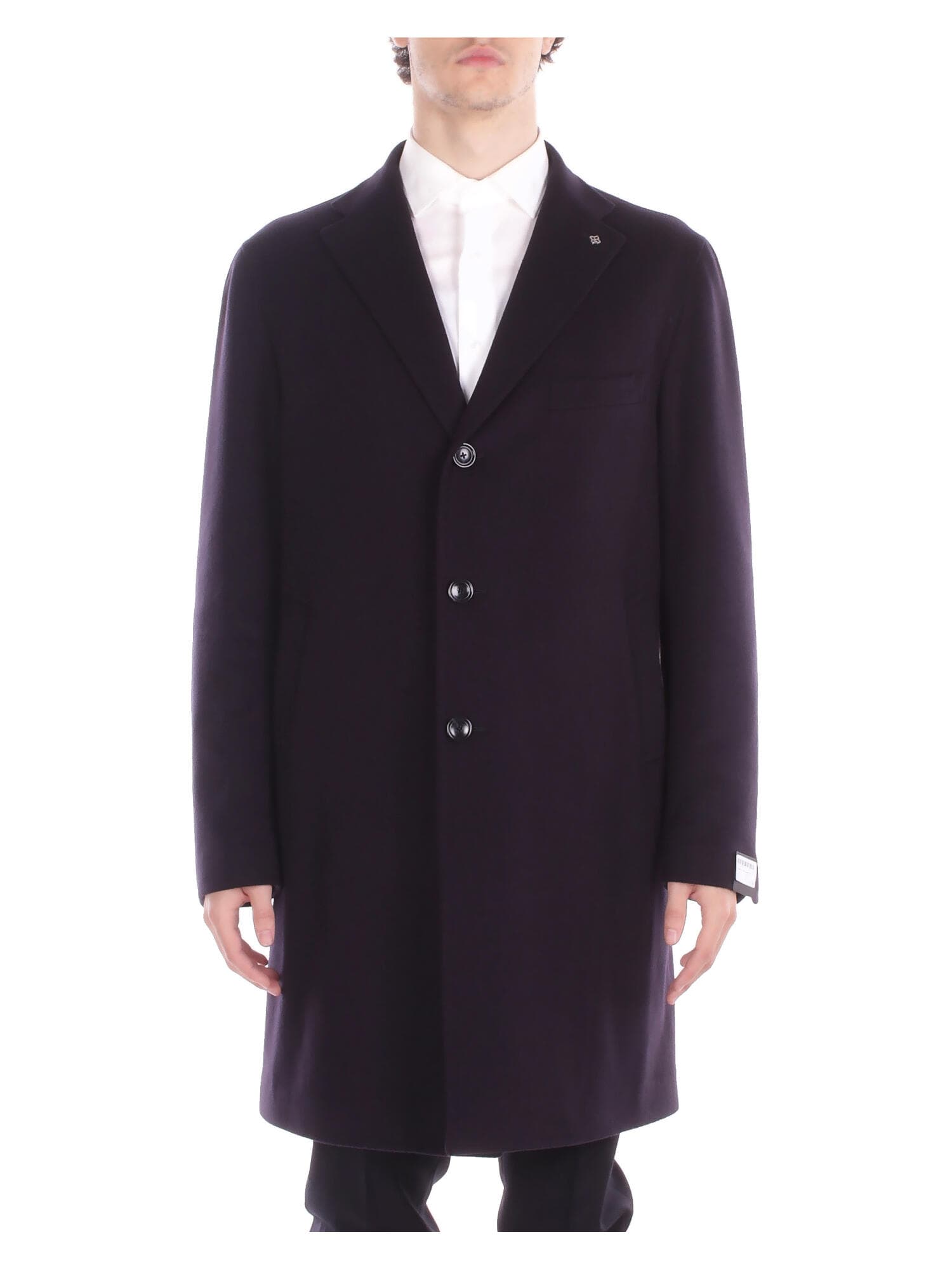 Tagliatore Coats