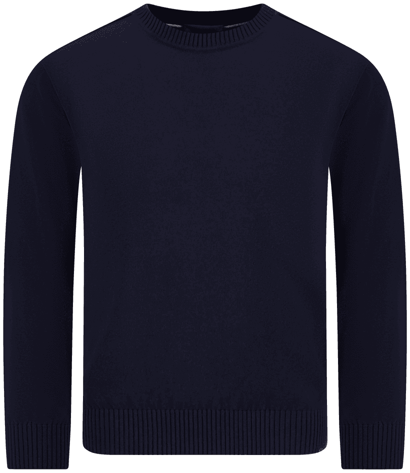 blue men's crew neck mesh