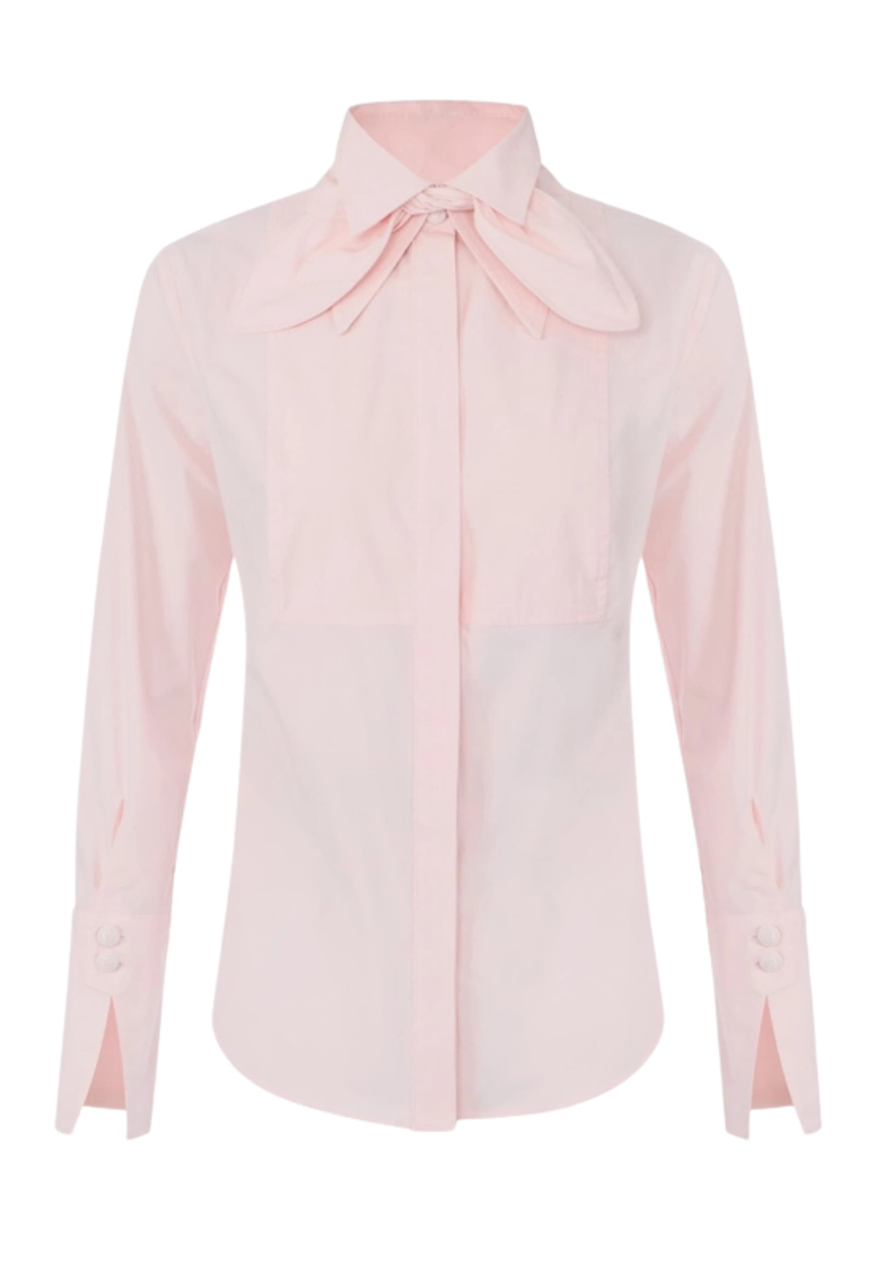 cotton shirt Elisabetta Franchi with bow
