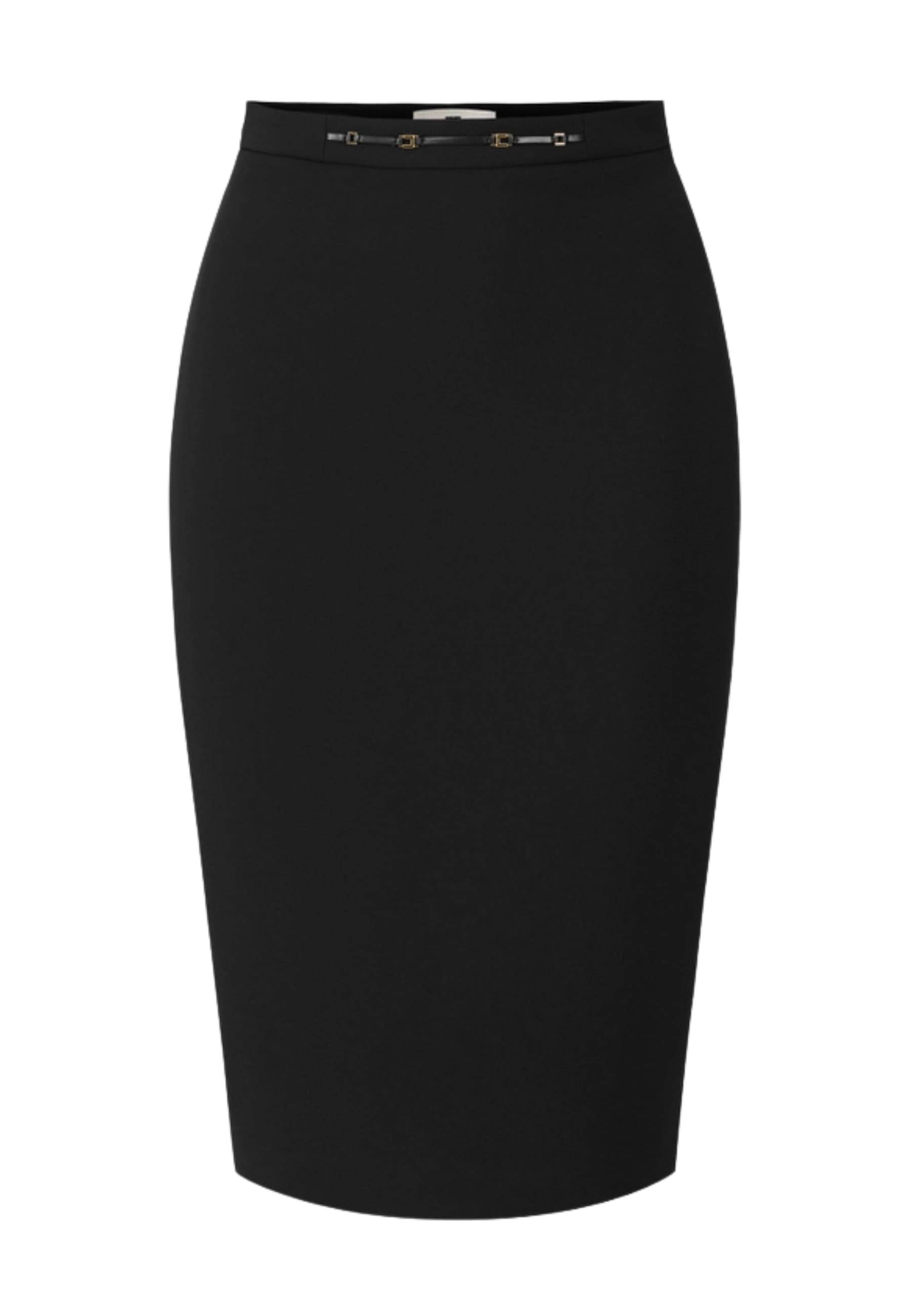 average skirt Elisabetta Franchi with jewel detail