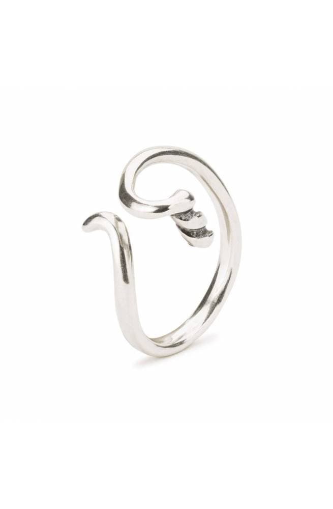 Trollbeads Fantasia ring mis. 13-14 TAGRI-00484