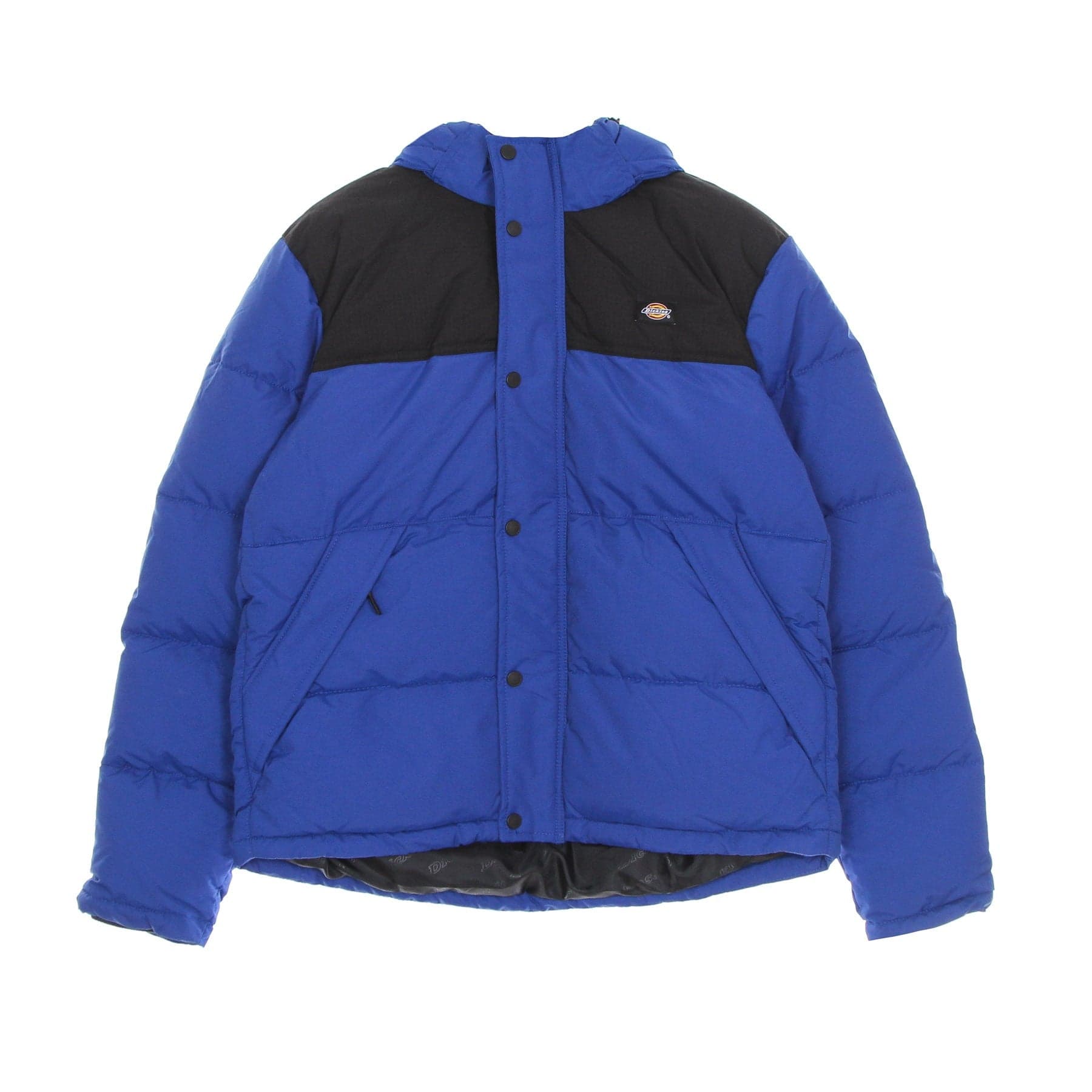 Glacier View Coat Men's Down Jacket True Blue