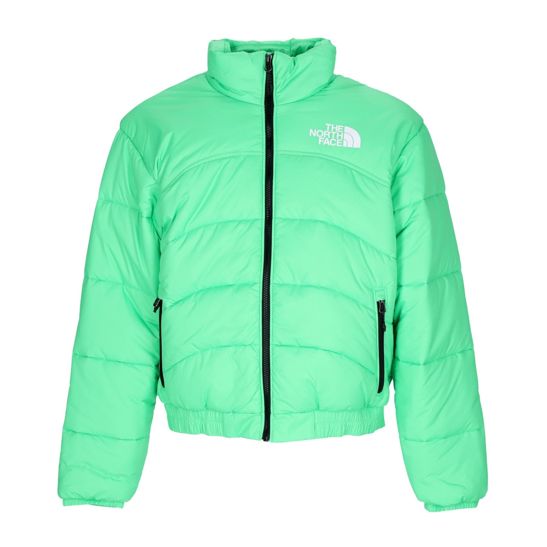 Men's Down Jacket 2000 Chlorophyll Green